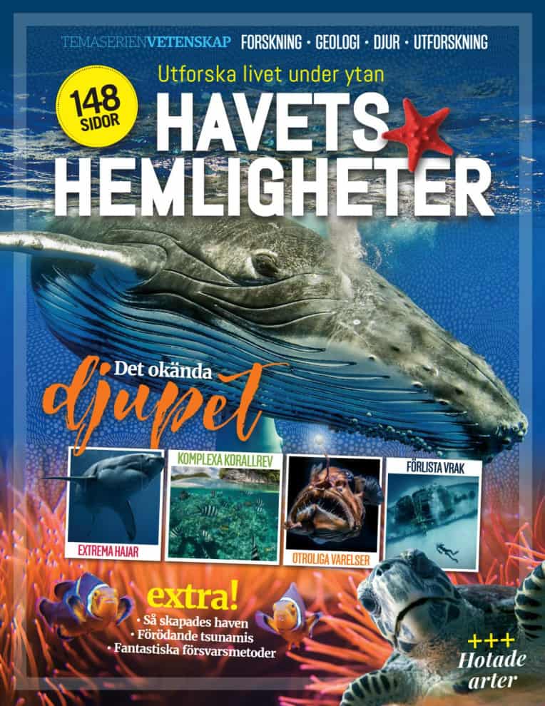 Havets hemligheter